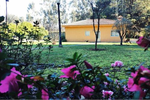 a house in a park with pink flowers in the foreground at Villas do monte in Guimarães