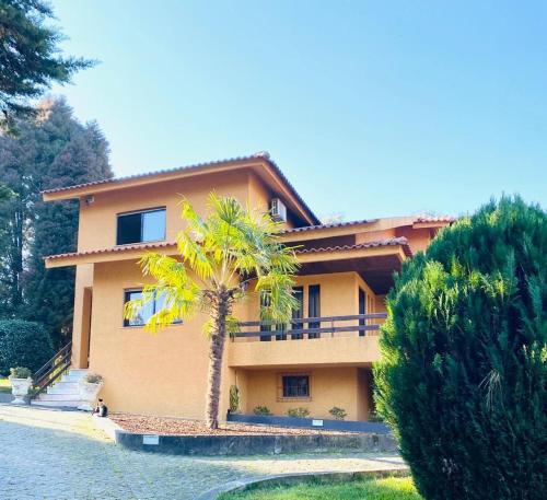 a house with a palm tree in front of it at Villas do monte in Guimarães