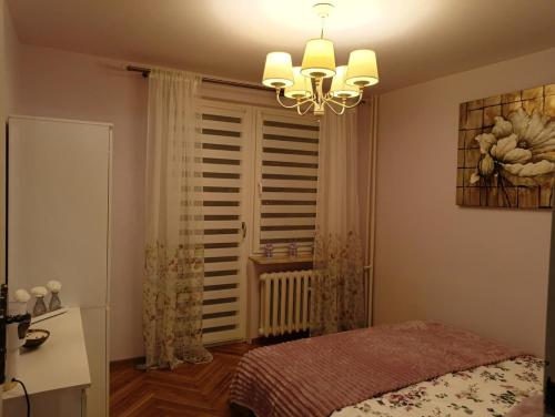 Apartament Wikinga Kielce