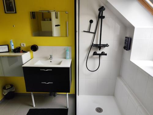 une salle de bain avec lavabo et douche dans l'établissement chambre lit double, à Tourville-la-Campagne