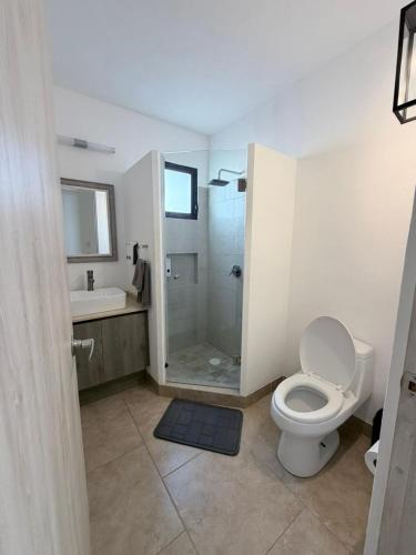 a bathroom with a toilet and a shower and a sink at Residencial en San Miguel de Allende in San Miguel de Allende
