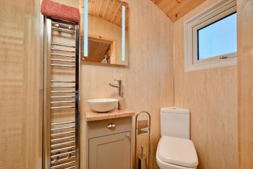 a small bathroom with a toilet and a sink at Finest Retreats - Demelza Shepherds Hut in Grade