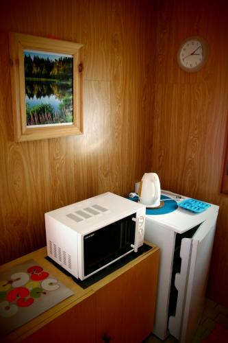 a microwave sitting on top of a counter at Penzion Poslední míle in Milovy