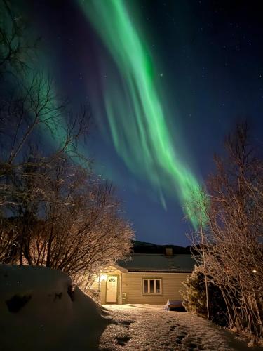 an aurora in the sky over a house at A pearl in Lofoten in Leknes