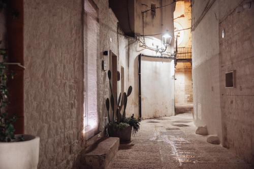 an alley with a potted plant in an old building at Corte Giotto Exclusive House in Carovigno