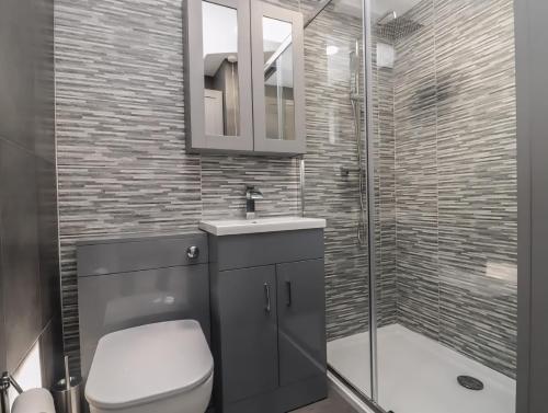 a bathroom with a shower and a toilet and a sink at The Cabin - Private Car Park with CCTV - Fast WiFi - Peaceful Retreat with Views for Business or Couples in Oldbury