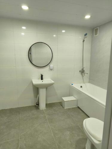 a bathroom with a sink and a toilet and a mirror at Tara Guesthouse and Tours in Ulaanbaatar