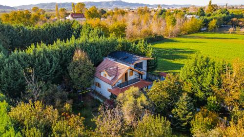 Ferma Gold by PikHost