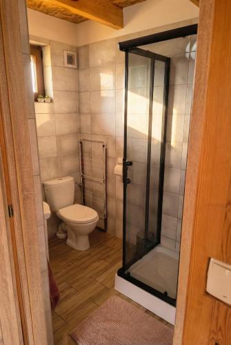 a bathroom with a toilet and a glass shower at Cichosza Miłomłyn in Miłomłyn
