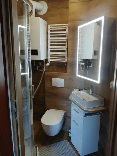 a bathroom with a toilet and a sink and a shower at Biedronka- samodzielny apartament dla 3 osób z miejscem parkingowym in Sopot