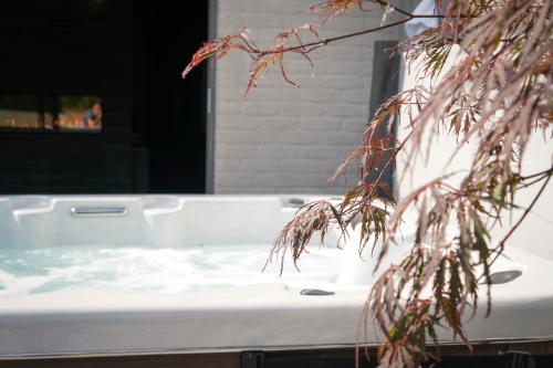 a jacuzzi tub with a plant in the foreground at Vakantiewoning Relax Ohm in Zottegem