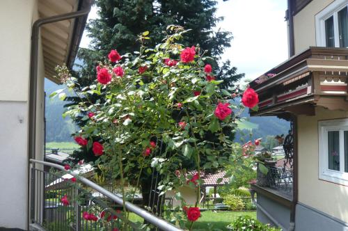 a bunch of red roses growing on a balcony at Appartement Wildkogel in Neukirchen am Großvenediger