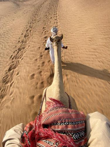 Foto de la galeria de Camel riding trip a Disah