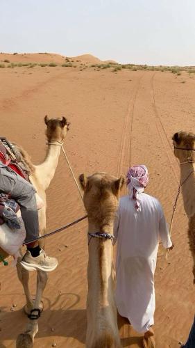 Clients de Camel riding trip