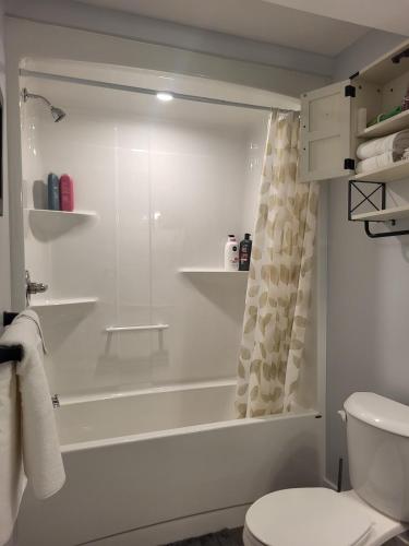 a bathroom with a shower and a toilet at Peace Home in Dieppe