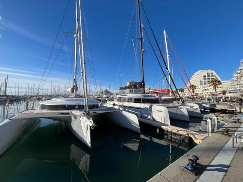 Studio 50 m du port et 200 m de la plage
