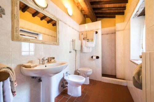 bagno con lavandino e servizi igienici di Agriturismo La Fagianaia a Borgo a Buggiano