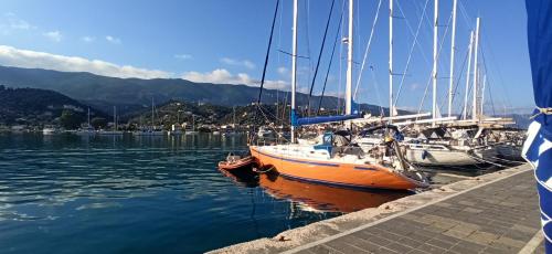 Un paisaje natural cerca del barco