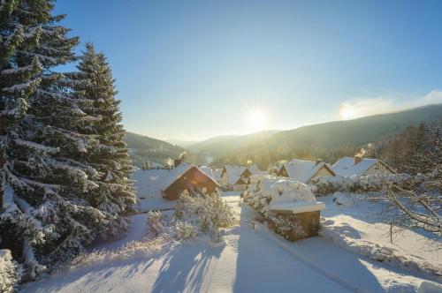 a group of cottages covered in snow at King size apartmán Pension Monika in Špindlerův Mlýn