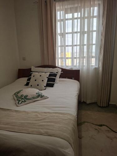 ein Schlafzimmer mit einem Bett mit Kissen und einem Fenster in der Unterkunft Ben's Apartment in Ngong