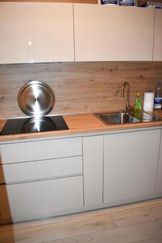 a kitchen with a sink and a counter top at Villa Majra in Valbandon