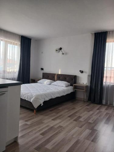 a bedroom with a large bed and a wooden floor at Monfort Studio in Bansko