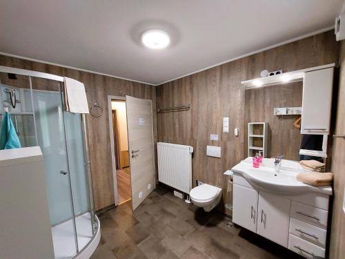 a bathroom with a toilet and a sink and a shower at APARTMENTHAUS "AM KORNFELD" - 10 Gästewohnungen mit 1-3 Schlafzimmern, 40 Betten, Raucherbalkon, Reinigungs- & Wäscheservice, Grillgarten, Parkplatz in Lünen