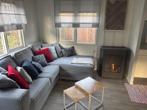 a living room with a couch and a fireplace at Chalet in natuurlijke omgeving in Heel