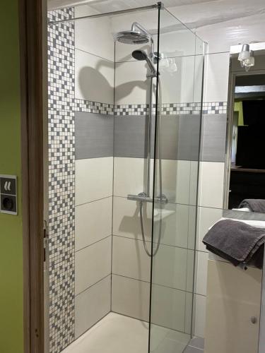 a shower with a glass door in a bathroom at La petite maison in Rimaucourt
