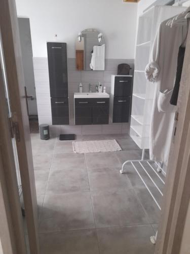 a bathroom with a sink and a mirror at Chambre d'hôtes dans un écrin de verdure in Dambach