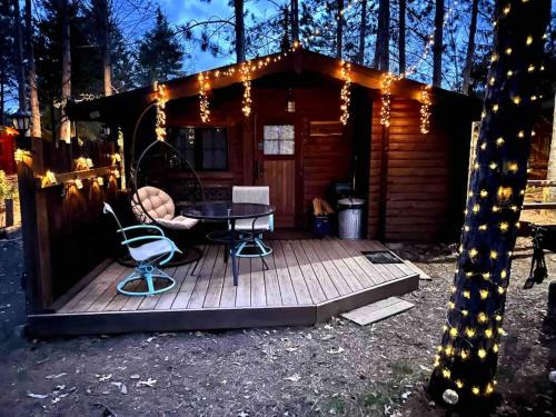 a cabin with a table and chairs and lights at Lakeshore Lily Pad in Hayward