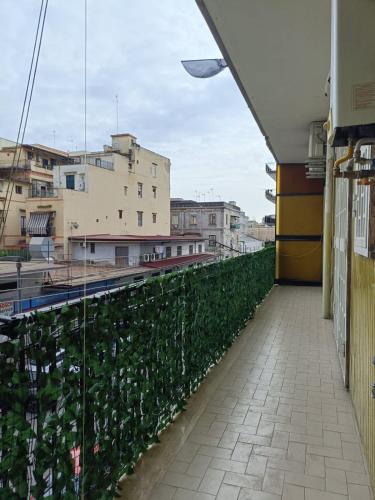 La Casa del PresePino