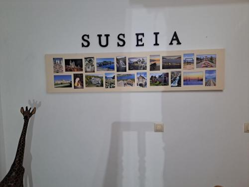 a sign on a wall with the word siesta on it at Suseia in Arcade
