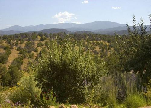 a view of a field with trees and mountains at Artist Road #31 in Santa Fe