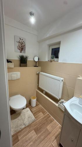a bathroom with a toilet and a sink at SchrauberStube Bertkow in Goldbeck