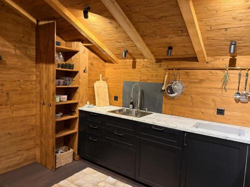 a kitchen with a sink and a wooden wall at Nevita in Saas-Grund