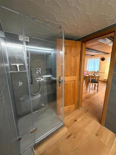 a bathroom with a shower with a glass enclosure at MANY'S historical city central APARTMENTS in Zurich