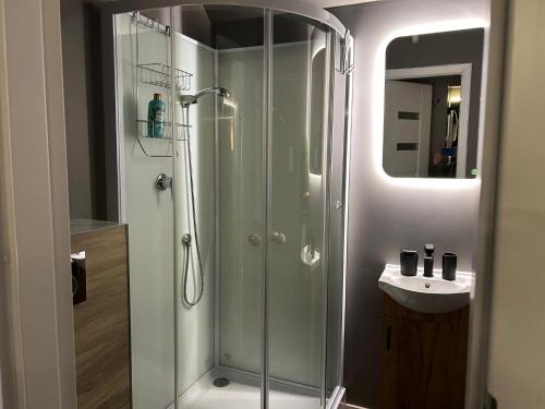 a bathroom with a shower and a sink at Happy Jura in Biskupice
