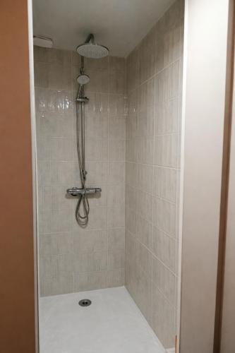 a shower with a shower head in a bathroom at Maisonnette à la campagne in La Couyère