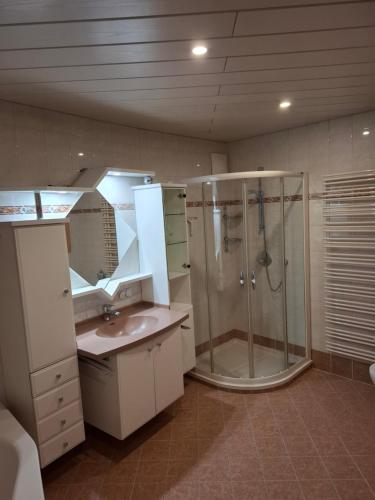a bathroom with a shower and a sink at Haus Nadegger in Werfen