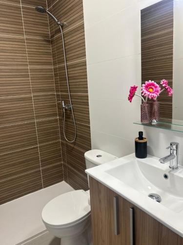a bathroom with a shower and a toilet and a sink at Apartamentos luz de Doñana 1 in Moguer