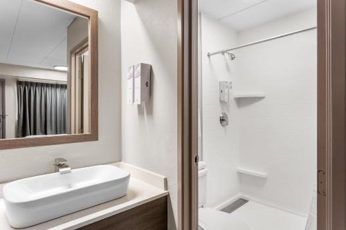 a white bathroom with a sink and a mirror at Red Roof Inn PLUS Chicago - Hoffman Estates in Hoffman Estates