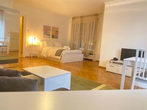 Bright & Fully Furnished Flat in Lausanne