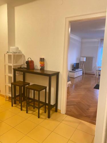 Bright & Fully Furnished Flat in Lausanne