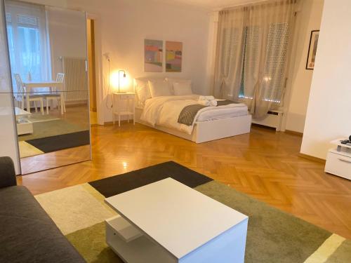 Bright & Fully Furnished Flat in Lausanne