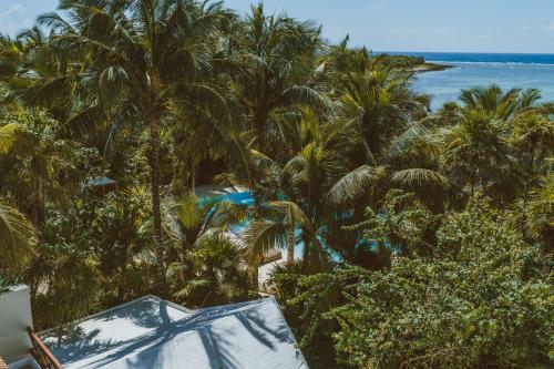 a view of a beach with palm trees and the ocean at Beachfront Bliss Suite in Balcheil