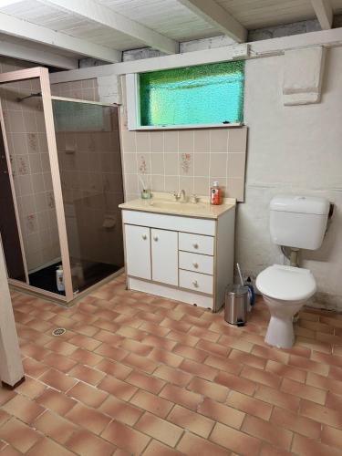 a bathroom with a toilet and a sink and a shower at Terrigal Cottage in Terrigal