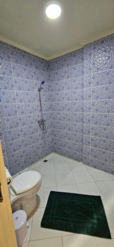 a bathroom with a shower and a toilet and a green rug at Appartement stylia 2 in Agadir