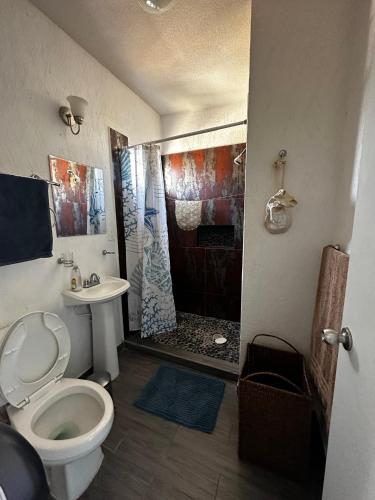 a bathroom with a toilet and a sink and a shower at Marineros Vallarta in Puerto Vallarta