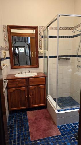 a bathroom with a sink and a shower at Peaceful Haven Guest House, in Adelaide